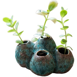 Barnacle Váza Květináč Porézní Mech Zelený Kopr Hydroponický Zen Tea Pet Nový čínský Styl