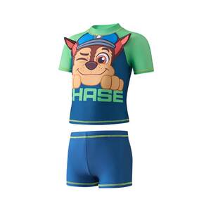 Paw Paw Team boys swimsuit split children's swimsuit baby antibacterial short-sleeved swimsuit professional swimming equipment seaside