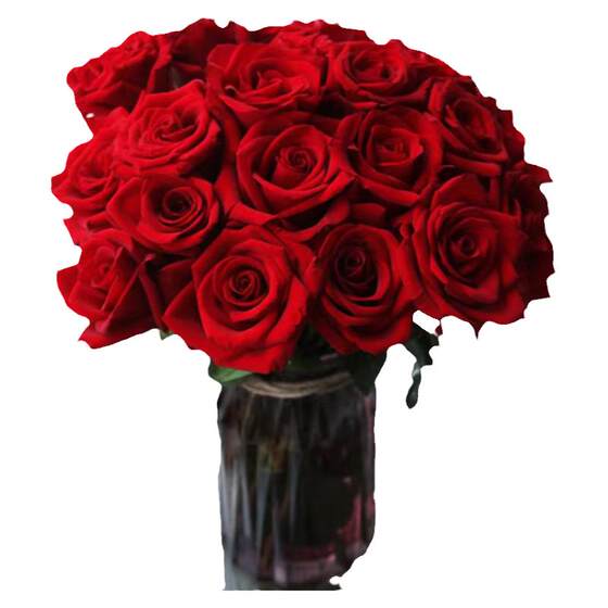 
A-grade red rose Corolla flowers Yunnan Kunming Dounan base direct delivery SF Express proposal real flower red