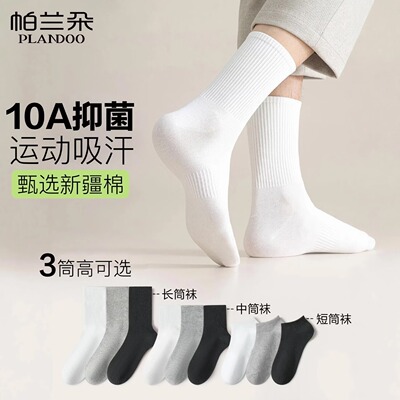 2026年10月26日更新【万能白菜价】