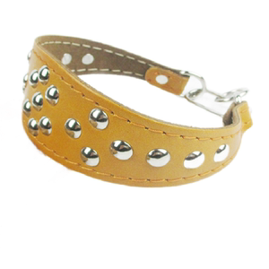 Greyhound collar, once tightened, Gree thin dog, harrier, horse dog, thickened and reinforced with push-pins, cowhide Whippet neck collar