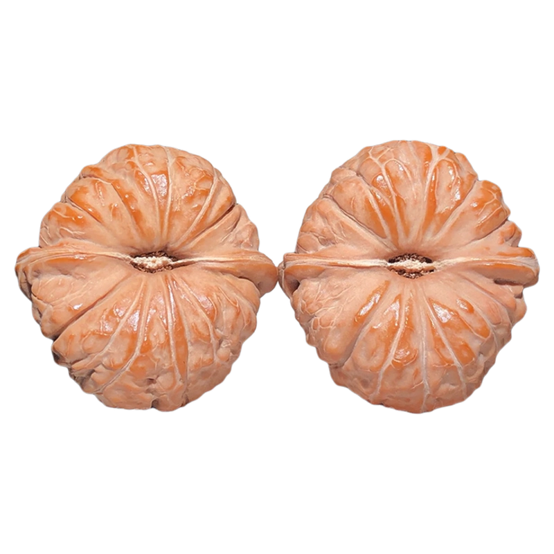 曹大龙核桃文玩精品手盘玩高端小众冷门罕见天然野生收藏级古玩男