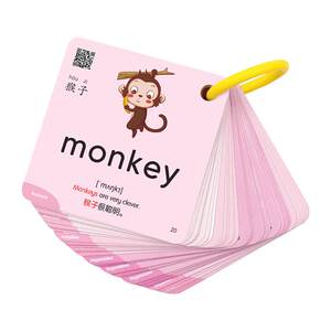Xiaoyu read the pen, a master Niu Shuchun English word card 600 words, literacy, the alphabet audio label knowledge

