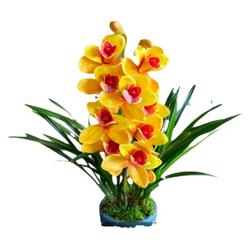 Originální řemeslnická Půda V Květináči Silně Vonící Sazenice Orchidejí Pokojové Květiny V Květináčích Inkoustová Orchidej Jianlan Velkokvětá Orchidej Cymbidium