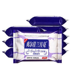 Shuanger Jialan Moon Wipes Adult Sex Private Parts Care Small Package Men and Women Cleansing Wet Wipes Hygiene and Portable