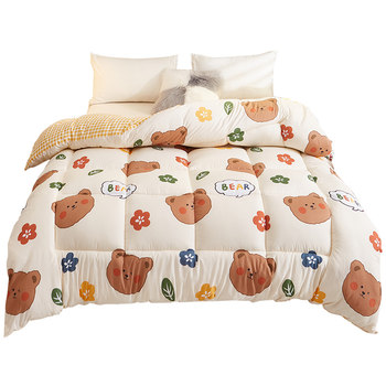 
[Class A Antibacterial Light and Soft] Winter Quilt Spring and Autumn