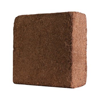 
Thousands of people purchased Coconut Brick Universal Nutritional Planting Soil