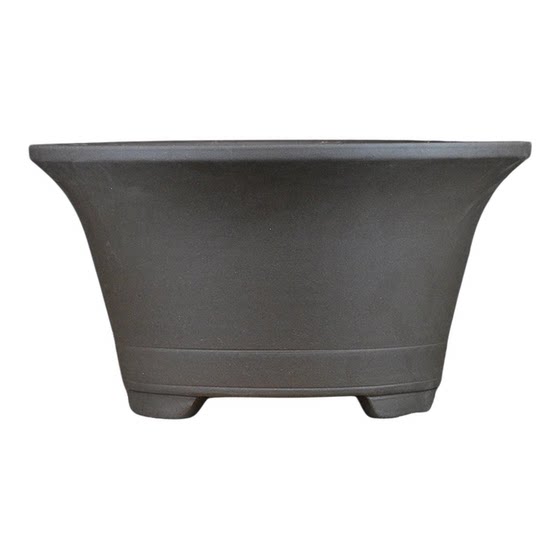 Purple sand bonsai garden flower pot flowers express flower simulation green plant garden vase flower pot flower stand