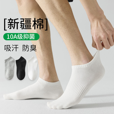 2026年3月5日更新【万能白菜价】的图片 第20张