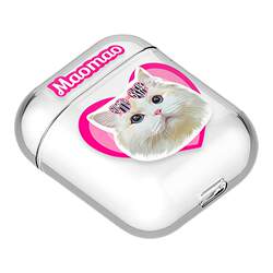 POOJI pet custom earphone case creative gift