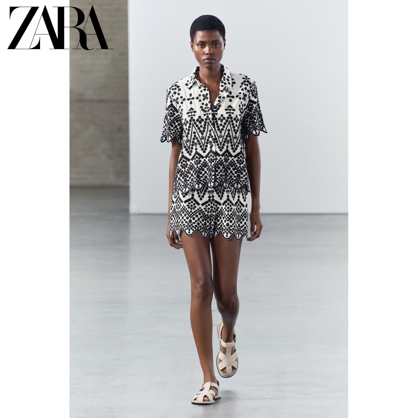 ZARA¿ Ůװ ZW ϵײɫ 2731088800ʵ199Ԫ