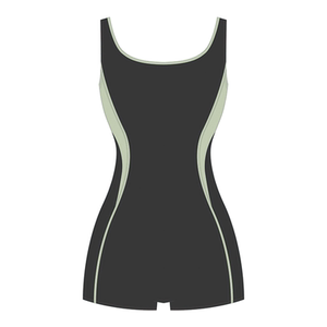 
pulassi racing swimsuit women's swimming pool special swimwear 2025 new one-piece hot spring swimsuit for women