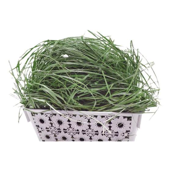25 dried with ears Timothy grass Min County Beiti 500 grams rabbit chinchilla guinea pig pet hay grass grinding teeth
