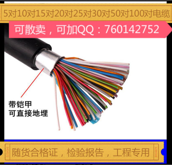 普天天纪300对200对100对电话电缆室外室内5对20对30对25对电缆