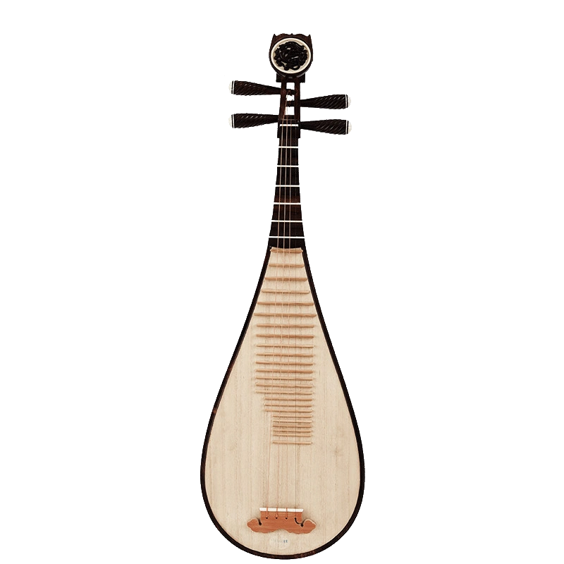 星海樂器琵琶8919-AAA 專業定製收藏級琵琶印度小葉紫檀琵琶-Taobao