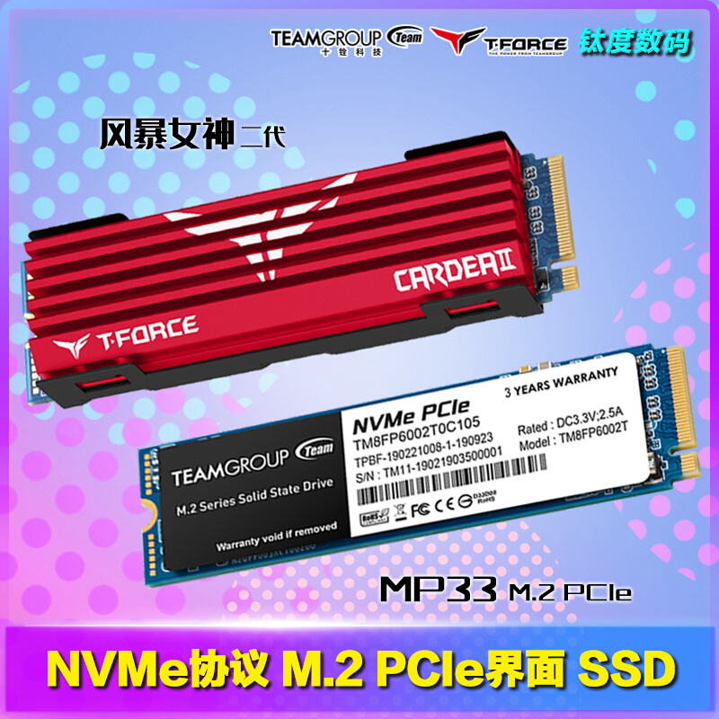 ʮNVMe SSD 256G 512G 1T PCIe M.2 2280̬ӲMP33 籩Ů