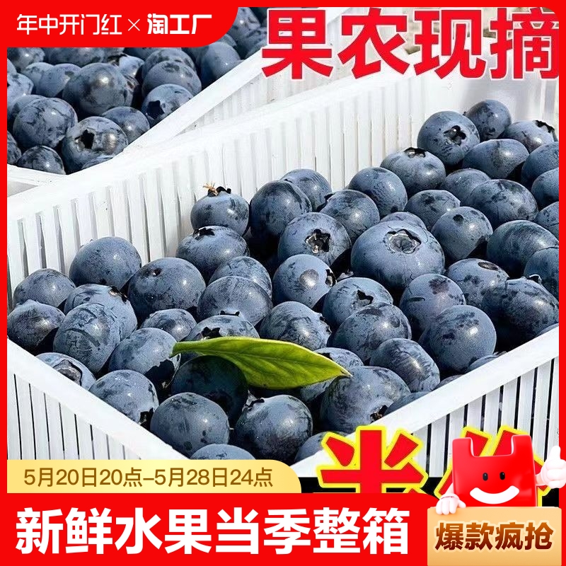 云南蓝莓新鲜水果当季整箱蓝梅鲜果现摘高山怡颗孕妇包邮70g大果