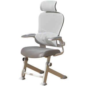 
Bajiujian Y5F learning chair for teenagers, ergonomic children's writing desk chair for middle and high school students
