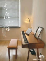 Аранжировка студии музыкальная продюсерская студия студия Midi -клавиатура записывает пианино