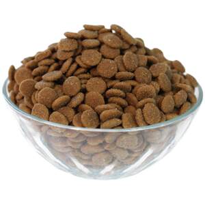 Bear self -made Grain Samorelabrado Husic puppies natural dog food into dog grain Teddy Golden Mao 30*0.5kg
