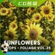 UE5虚幻5 Foliage VOL.25 - Sunflowers 高质量向日葵道具模型