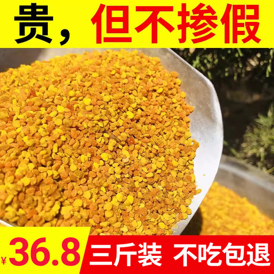 花粉喂蜂养蜂蜜蜂饲料代用蜂粮天然正品油菜花粉杂粉意蜂中蜂专用