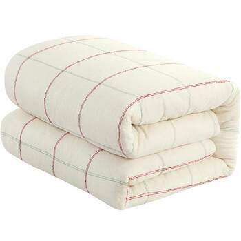 Miaozhi Xinjiang Cotton Quilt Duvet Cover