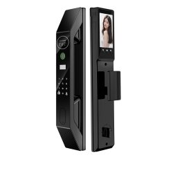 Kangting face recognition palm vein anti-theft door lock