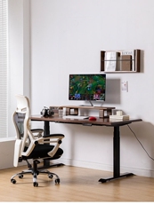 Электрический стол 实木电动升降书桌电竞桌办公桌孩子写字学习桌站立可调节高度定制