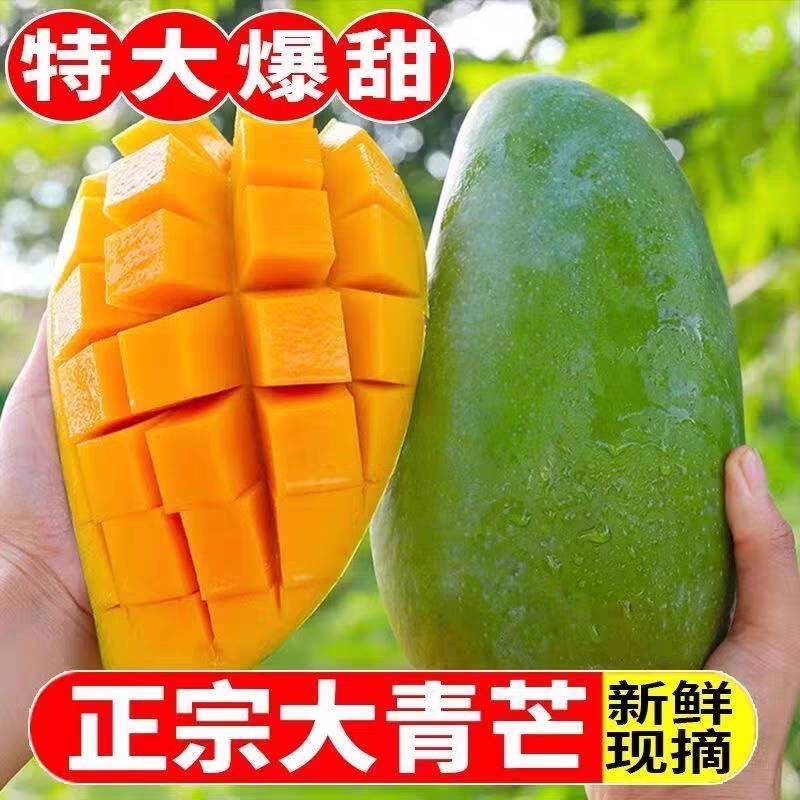 正宗优质大青芒果爆甜多汁现摘现发新鲜水果核小肉厚纯甜无丝芒果