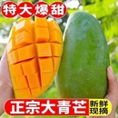 【金币11.19元】5斤新鲜当季甜心大青芒