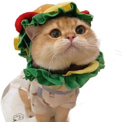 Cat burger hood pet hat dog head accessories