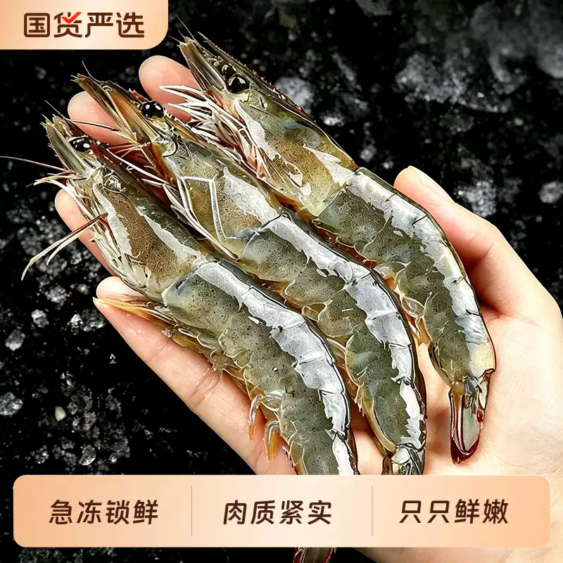 冠鲜行动 青岛南美白对虾 15~18cm 30/40规格 净重3斤 双重优惠折后￥58.65包邮 淘金币可抵扣9.87元