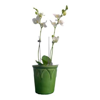 Ceramic high-end simple flower pot ice crack glaze flower pot
