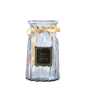 Nordic creative transparent glass vase Hydroponic green dill plant dried flower flowers flower insert bottle living room decorative ornaments