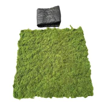 Bonsai paved moss permeable and breathable high simulated moss