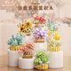 Eternal Life Flower Counterbiite Basin Basin Birthday Gift Children's Pretend to Toy Girl Series Puzzle Gifts
