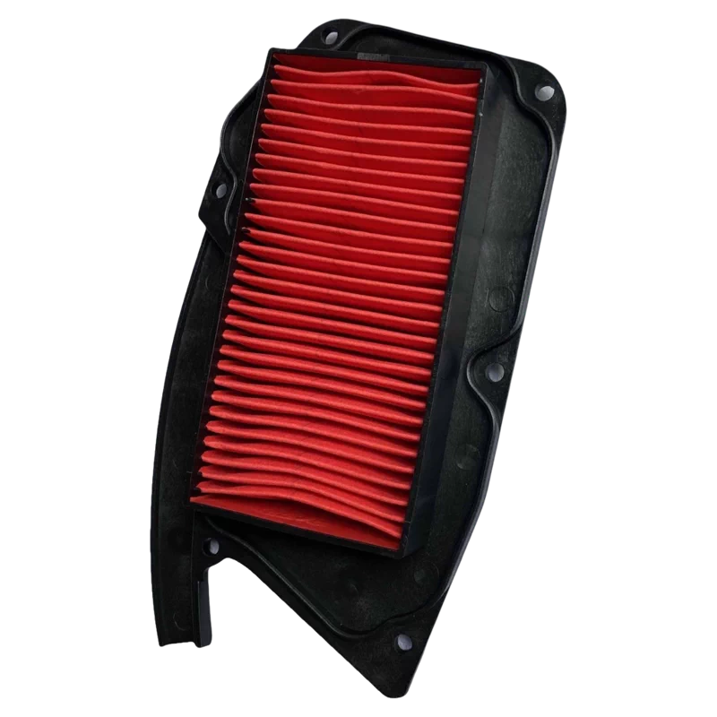 Qianjiang QJ125T-9G-8D - Filtro de Aire
