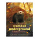 英文原版 Wombat Underground 袋熊的地下洞穴 山火生存动物故事精装绘本 英文版 进口英语原版书籍