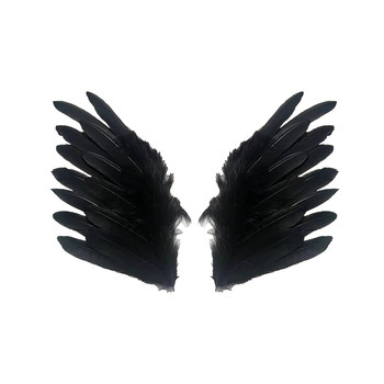 
Black swan feather wings sweet and cool hair clip