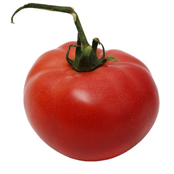 Tomato seed seedlings, large tomato seeds, vegetable seedlings, vegetable seedlings, small dwarf black rice seedlings, complete vegetable varieties in summer