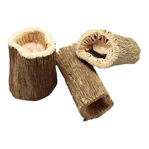 
Teething papaya mound rabbit chinchilla guinea pig snacks drying papaya tree mound molar stick parrot bird beak grinding toy