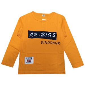 
Boys long-sleeved T-shirt Spring and Autumn 2025 new Korean version of medium-sized children's cotton children's base shirt top trend