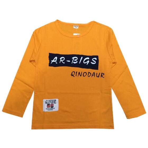 
Boys long-sleeved T-shirt Spring and Autumn 2025 new Korean version of medium-sized children's cotton children's base shirt top trend