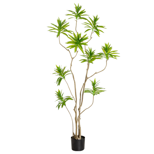 bambus pflege öl Heavy Bamboo Pflegeöl Set – Pflegeöl Zubehör main image 1