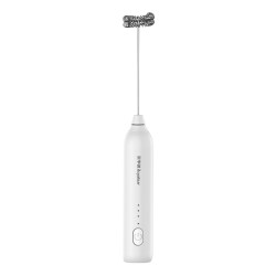 Royalstar coffee frother electric stirrer