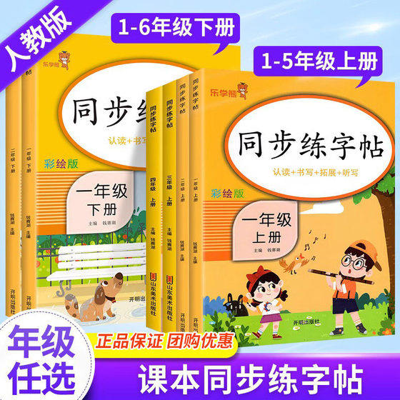 小学生练字帖每日一练一年级下册二年级三四五六年级上册语文同步练字帖人教版 控笔训练硬笔书法每日一练 笔顺幼儿园儿童学前班