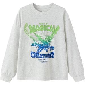 
[Harry Potter IP] Balabala children's clothing boys' long-sleeved T-shirts children's spring and autumn fashion tops