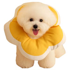 
Pet Elizabeth collar dog collar collar anti-licking anti-bite collar cat sterilization headband soft collar small dog