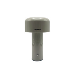Thomson Mushroom ins style light luxury high-end atmosphere lamp bedroom bedside lamp wireless charging table lamp night light